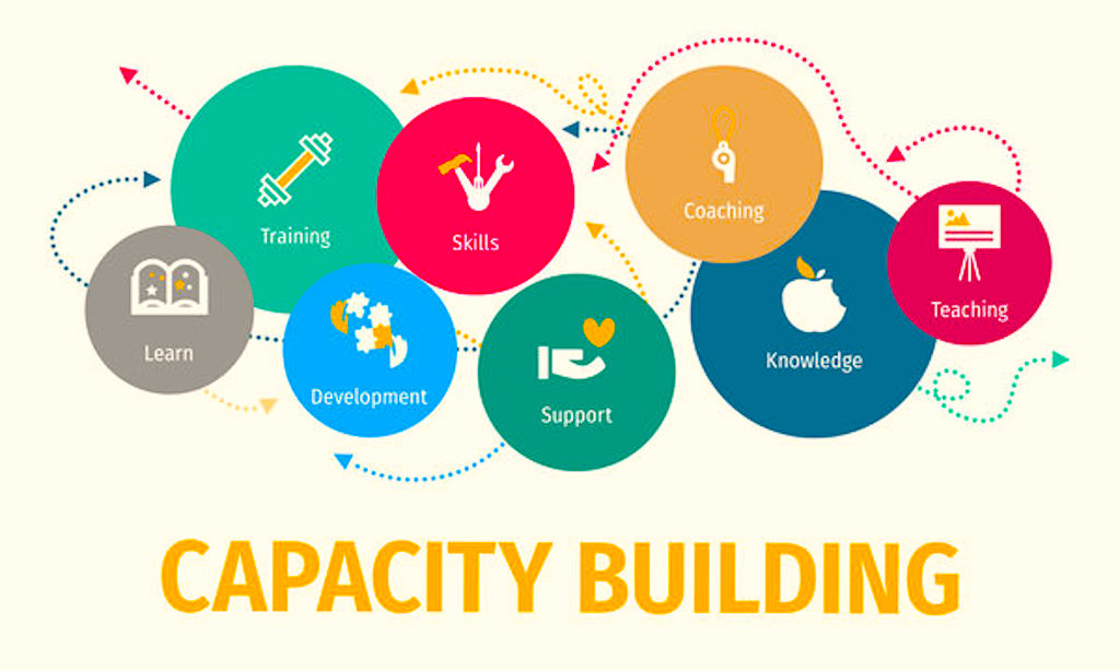 Skills Development and Capacity Building
